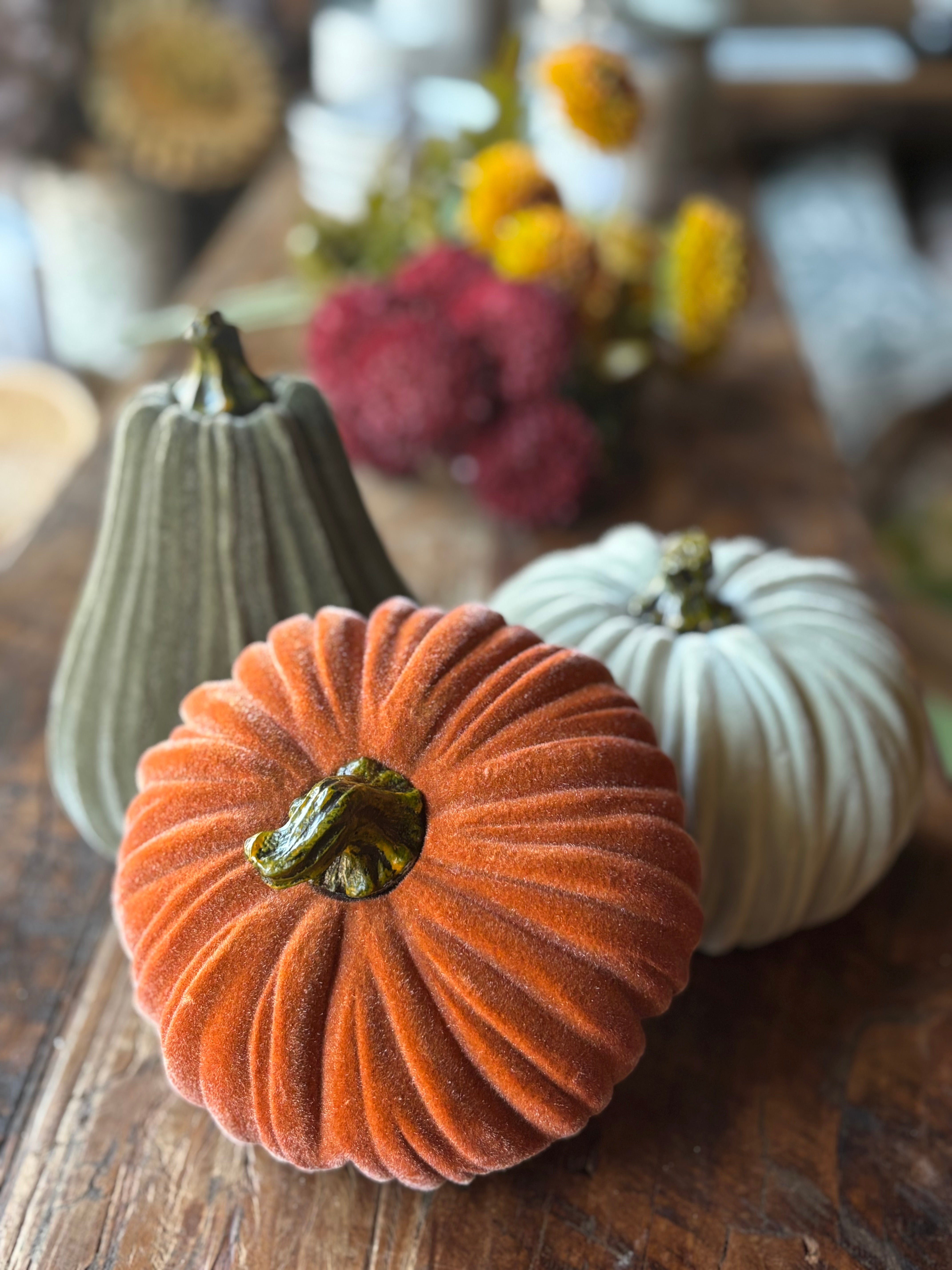 Fall